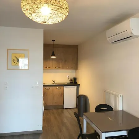 F2 Cote Ugc Climatise Plein Centre Parking Gratuit Apartment Strasbourg Exterior photo