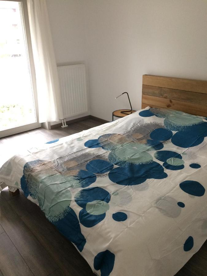 F2 Cote Ugc Climatise Plein Centre Parking Gratuit * Strasbourg